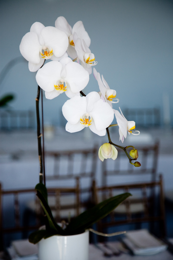 White orchid wedding centerpiece, wedding photo by Christine Meintjes Photography